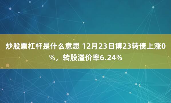 炒股票杠杆是什么意思 12月23日博23转债上涨0%，转股溢价率6.24%