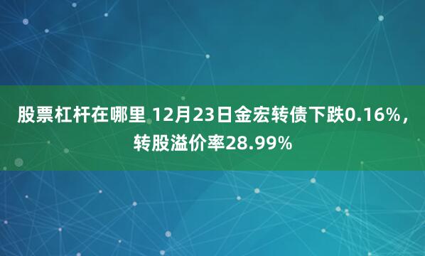 股票杠杆在哪里 12月23日金宏转债下跌0.16%，转股溢价率28.99%