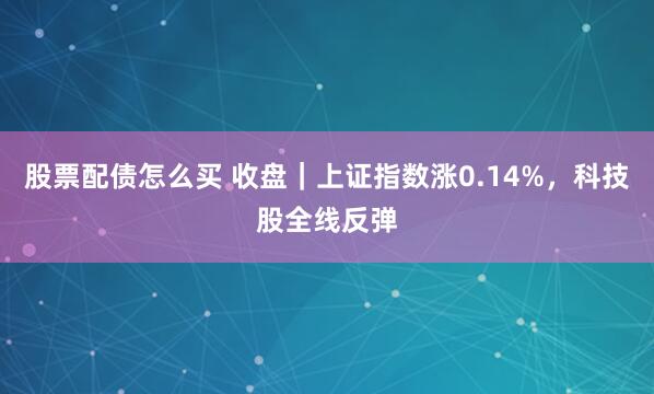 股票配债怎么买 收盘｜上证指数涨0.14%，科技股全线反弹