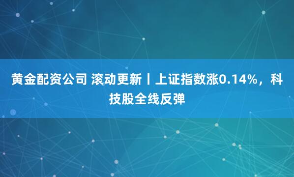 黄金配资公司 滚动更新丨上证指数涨0.14%，科技股全线反弹