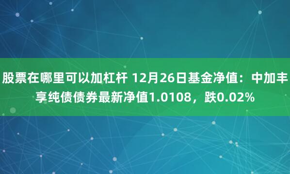 股票在哪里可以加杠杆 12月26日基金净值：中加丰享纯债债券最新净值1.0108，跌0.02%