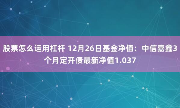 股票怎么运用杠杆 12月26日基金净值：中信嘉鑫3个月定开债最新净值1.037