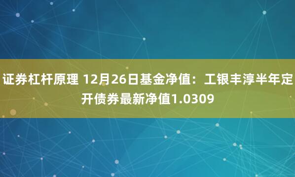 证券杠杆原理 12月26日基金净值：工银丰淳半年定开债券最新净值1.0309