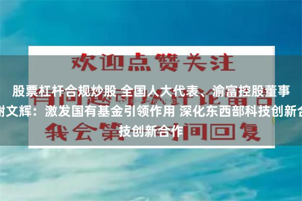 股票杠杆合规炒股 全国人大代表、渝富控股董事长谢文辉：激发国有基金引领作用 深化东西部科技创新合作