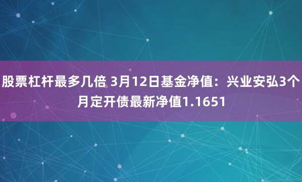 股票杠杆最多几倍 3月12日基金净值：兴业安弘3个月定开债最新净值1.1651